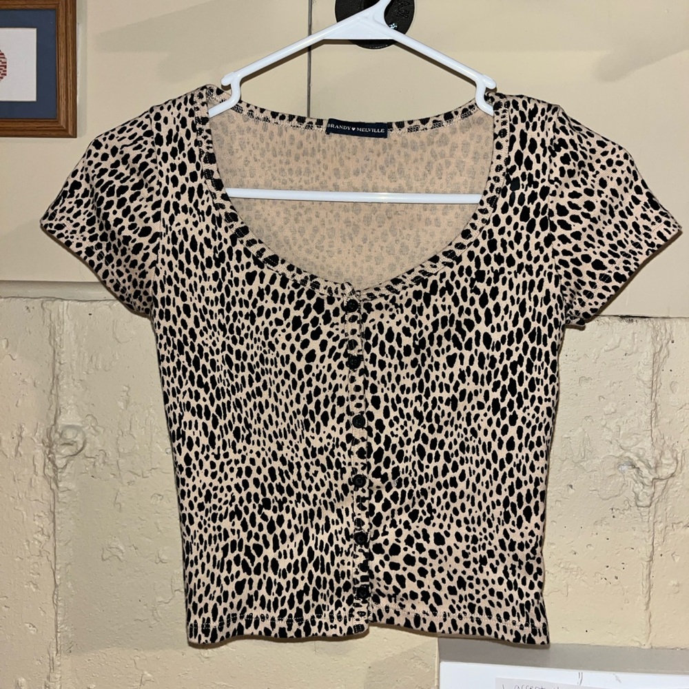 Brandy Melville Black and Tan Leopard Print Crop Top